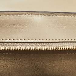 Celine Beige Leather, Suede and Python Medium Trapeze Bag
