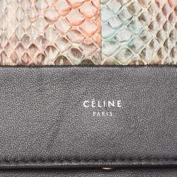 Celine Multicolor Snakeskin and Leather Frame Chain Clutch