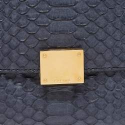 Pre Owned Celine Blue/Black Python and Suede Medium Trapeze Bag