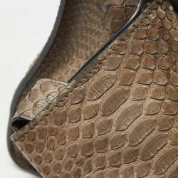Celine Beige Python Medium Luggage Phantom Tote
