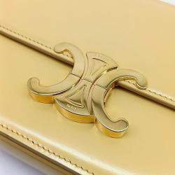 Celine Triumph Bag Tin