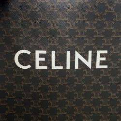 Celine Tan Triomphe Canvas Leather Vertical Cabas Small bag