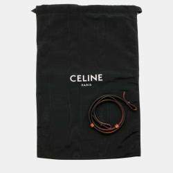 Celine Tan Triomphe Canvas Leather Vertical Cabas Small bag