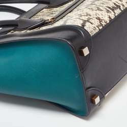 Celine Multicolor Leather and Snakeskin Micro Luggage Tote
