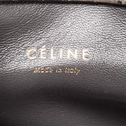 Pre Owned Celine Grey Python Medium Phantom Luggage Tote