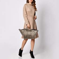 Pre Owned Celine Grey Python Medium Phantom Luggage Tote