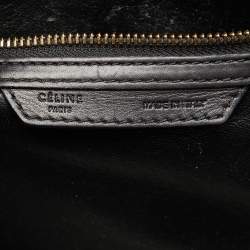 Celine Tri Color Lizard Leather and Suede Micro Luggage Tote