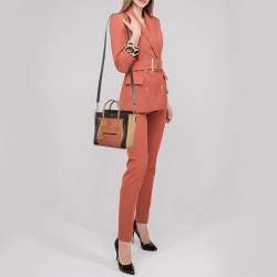Celine Tricolor Leather Nano Luggage Tote