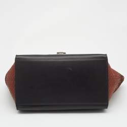 Celine Brown/Black Python and Leather Large Trapeze Top Handle Bag