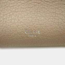 Celine Big Bag Light Taupe Calf Leather Small Size Bag