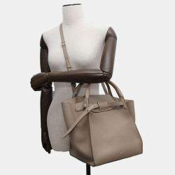 Celine Big Bag Light Taupe Calf Leather Small Size Bag