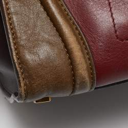 Celine Tricolor Leather Mini Luggage Tote