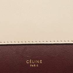 Celine Tricolor Leather and Python Pocket Envelope Shoulder Bag