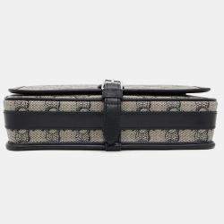 Celine Beige/Black Pvc Coated Canvas Calf Leather Small Folco Messenger Bag