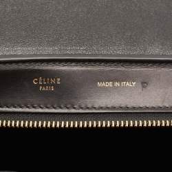 Pre Owned Celine Multicolor Python and Leather Medium Trapeze Top Handle Bag