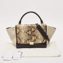 Pre Owned Celine Multicolor Python and Leather Medium Trapeze Top Handle Bag