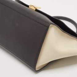 Pre Owned Celine Multicolor Python and Leather Medium Trapeze Top Handle Bag