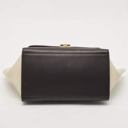 Pre Owned Celine Multicolor Python and Leather Medium Trapeze Top Handle Bag