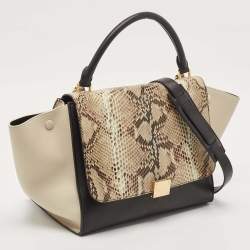 Pre Owned Celine Multicolor Python and Leather Medium Trapeze Top Handle Bag