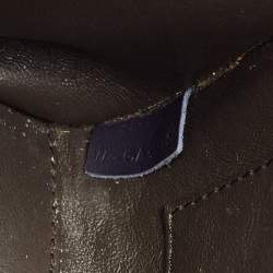 Celine Tricolor Leather and Python Nano Luggage Tote