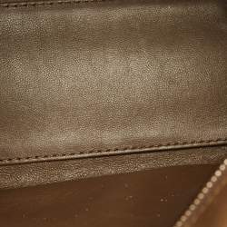 Celine Multicolor Leather Nano Luggage Tote