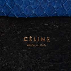 Celine Blue Python Frame Satchel