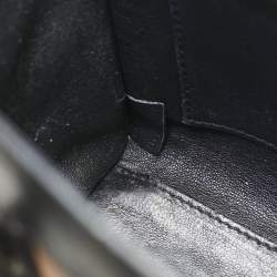 Celine Multicolor Leather Nano Luggage Tote
