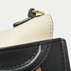 Celine Multicolor Leather Nano Luggage Tote