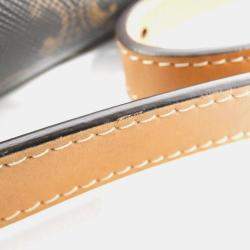 Celine Leather Teen Triomphe Shoulder Bag