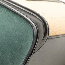 Celine Multicolor Nano Nubuck and Calfskin Luggage Tote