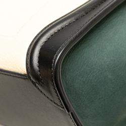 Celine Multicolor Nano Nubuck and Calfskin Luggage Tote