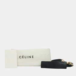Celine Multicolor Python Trapeze Tote Bag