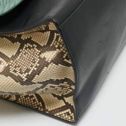 Celine Tricolor Python and Leather Large Trapeze Top Handle Bag
