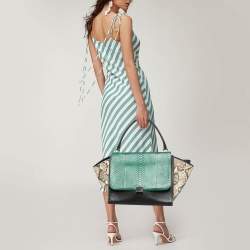Celine Tricolor Python and Leather Large Trapeze Top Handle Bag