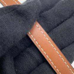 Celine Handbag Triomphe Mini Buzacque