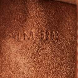 Pre Owned Celine Brown Leather Medium Ava Triomphe Shoulder Bag