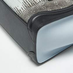 Pre Owned Celine Tricolor Lizard and Leather Nano Luggage Tote