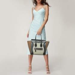 Pre Owned حقيبة يد توتس سيلين ميكرو لاغيدج جلد ثعبان متعدد الألوان 