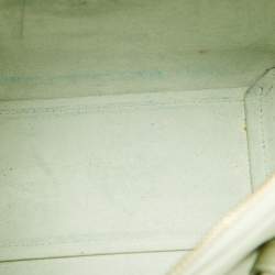 Pre Owned Celine Pale Green Leather Nano Belt Top Handle Bag