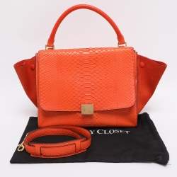 Pre Owned حقيبة سيلين تربيع سويدي وجلد البايثون برتقالي متوسطة