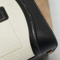 Pre Owned Celine Tricolor Nubuck and Leather Mini Luggage Tote