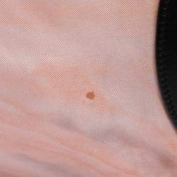 Pre Owned Celine Pink Silk Scarf Bag