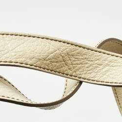 Pre Owned Celine Brown/Light Cream Canvas and Leather Boogie Hobo