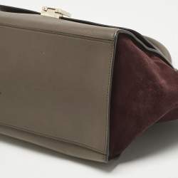 Pre Owned Celine Multicolor Leather and Suede Medium Trapeze Top Handle Bag