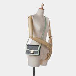 Pre Owned Celine Brown Teen Triomphe Coated Canvas and Calfskin Triomphe Crossbody