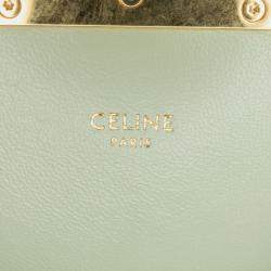 Pre Owned Celine Brown Teen Triomphe Coated Canvas and Calfskin Triomphe Crossbody