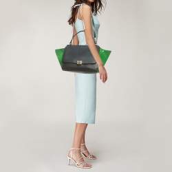 Pre Owned Celine Tricolor Leather and Suede Medium Trapeze Bag
