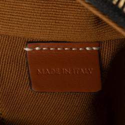 Pre Owned Celine Brown Mini Triomphe Coated Canvas Ava Shoulder Bag