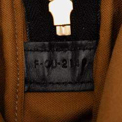 Pre Owned حقيبة كروس سيلين تريومف طولي قماش مطلي بني