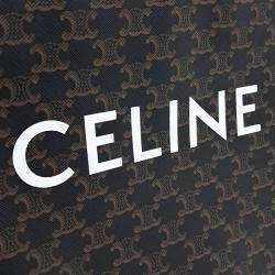مملوكة مسبقًا Celine Brown PVC Triumph Cabas Vertical Small